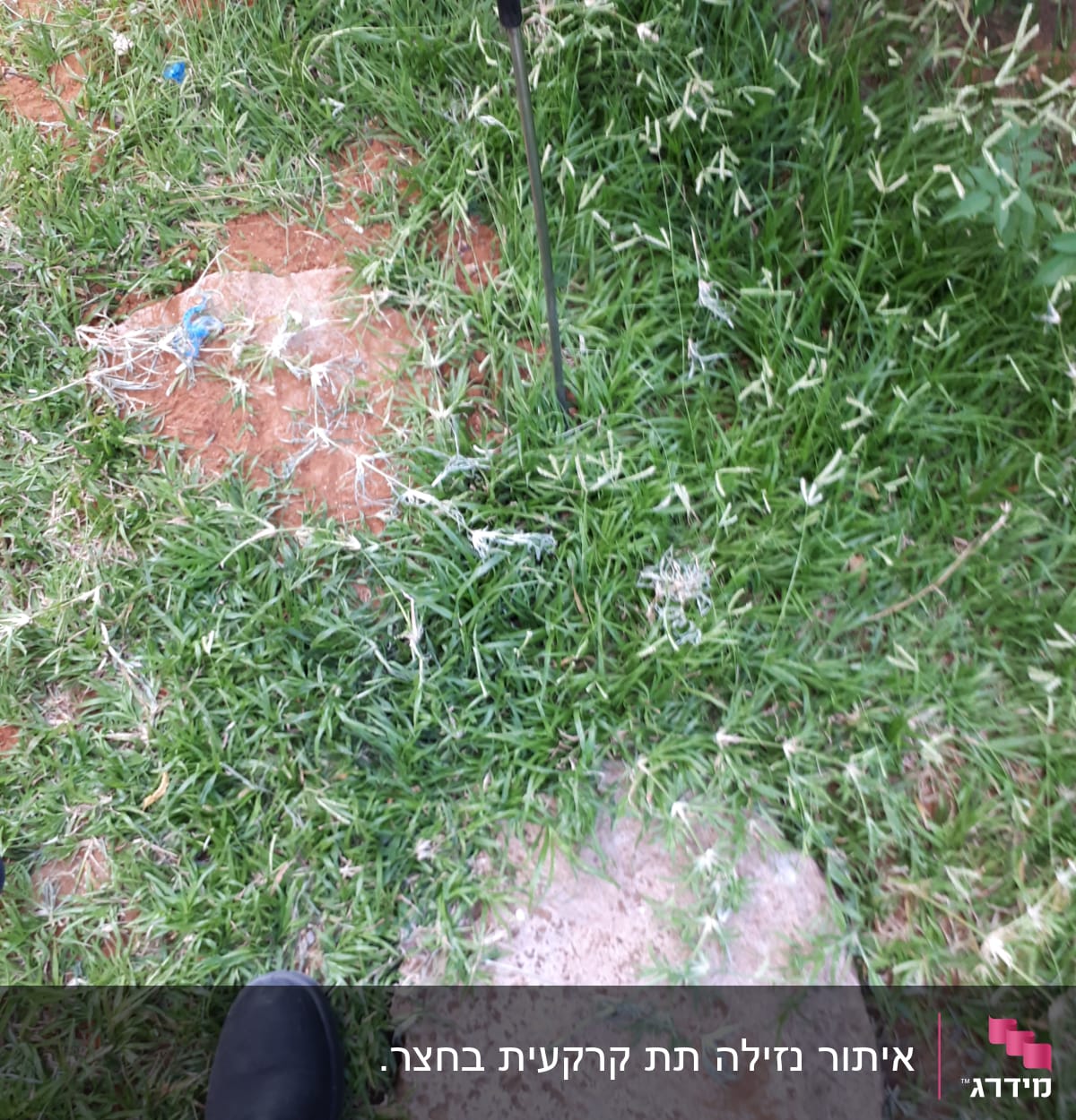 מקל חודר דשא ירוק לאיתור נזילות
